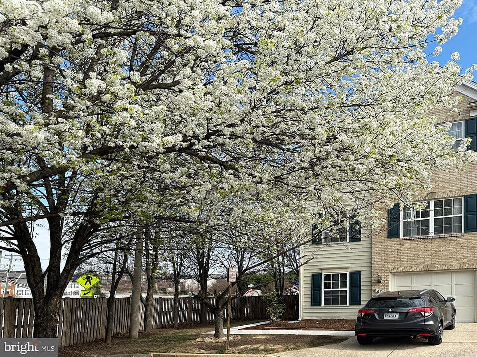 Homes at Spring Hill in Lorton